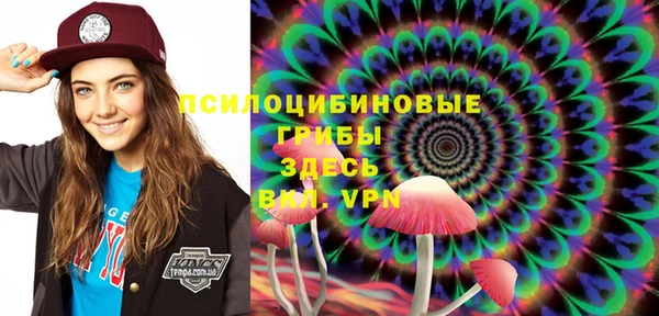 мдпв Абаза