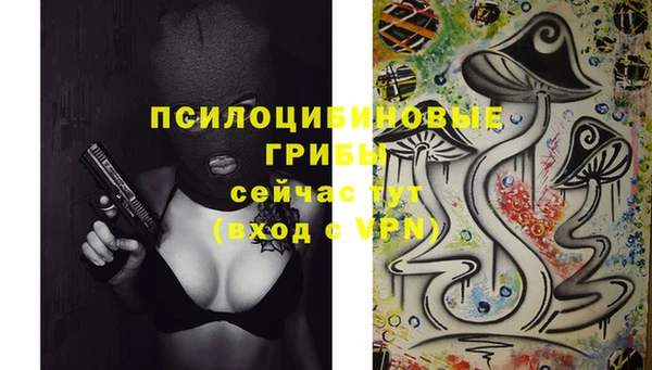 мдпв Абаза