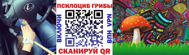 Псилоцибиновые грибы ЛСД  Цоци-Юрт 