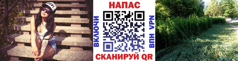 купить закладку  Цоци-Юрт  Марихуана VHQ 